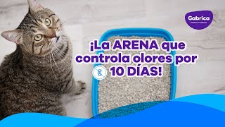 🇨🇴🐱💙 Por qué Fresh Step Multi Cat es la mejor arena para gatos 🐱💙