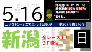 5月16日日曜日　新潟競馬場　上り3F順位データ　弥彦S 2021