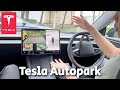 Tesla Autopark Experience!