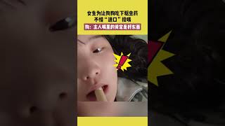 女生为让狗狗吃下驱虫药，不惜“进口”投喂，狗：主人嘴里的肯定是好东西 #宠哈哈