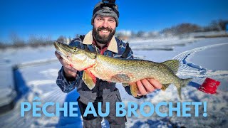 Pêche sur glace au brochet à la marina d'Aylmer - Pêcher, cuisiner, manger