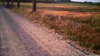 MultiWii QuadCopter Tree slalom (rudder training)