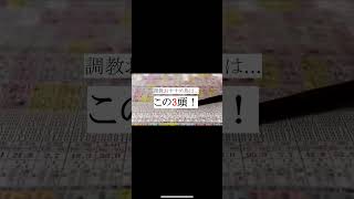 🎯アルテヴェローチェ🎯シンザン記念 追い切り おすすめ 2025 #シンザン記念 #中京競馬場