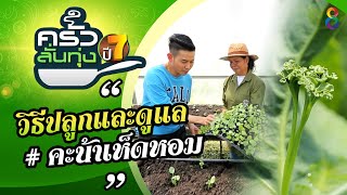 มาปลูกคะน้าเห็ดหอมกันเถอะ | ครัวลั่นทุ่ง | ช่อง8