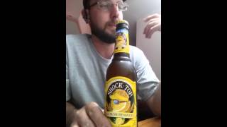 Shock Top Lemon Shandy beer review