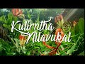 tamil eelam song kulirntha nilavukal