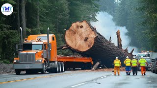 Extremely dangerous monster wood truck driving skills | climbing | heavy load #87