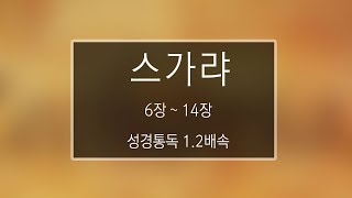 성경 읽기: 스가랴 6장 - 14장