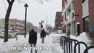 Montreal Winter Walk in Heavy Snow and Wind in Outremont and Mile-End in 2023