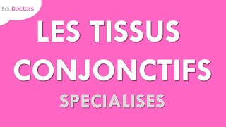 Les tissus conjonctifs spécialisés - Histologie