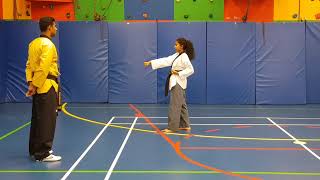 Taekwondo Poomsae 1