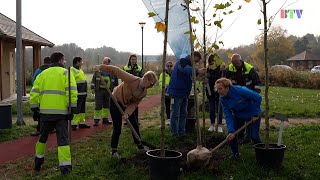 A környezetvédelem és fenntarthatóság jegyében ültettek fákat a Bábolnai Szabadidőparkban