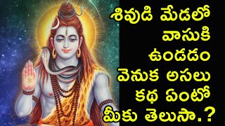 శివుడి మేడలో వాసుకి ఉండడం వెనుక అసలు కథ | Why Lord Shiva Wear a Snake Around His Neck | Real Voice