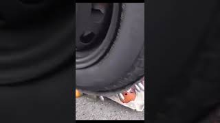 Crushing Crunchy \u0026 Soft Things by Car _ Experiment_ Car Nail vs Watermelon  #asmr #funny