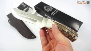 Puma IP Montero Stag knife review