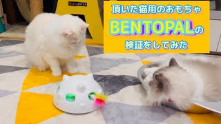 頂いた猫用のおもちゃ BENTOPALの検証をしてみた