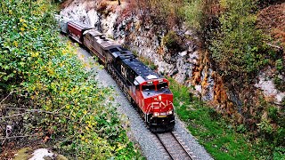 Huge CN Grain Train Curves Into Tunnel, with Railroad Chatter, And Former CITIRAIL Unit!