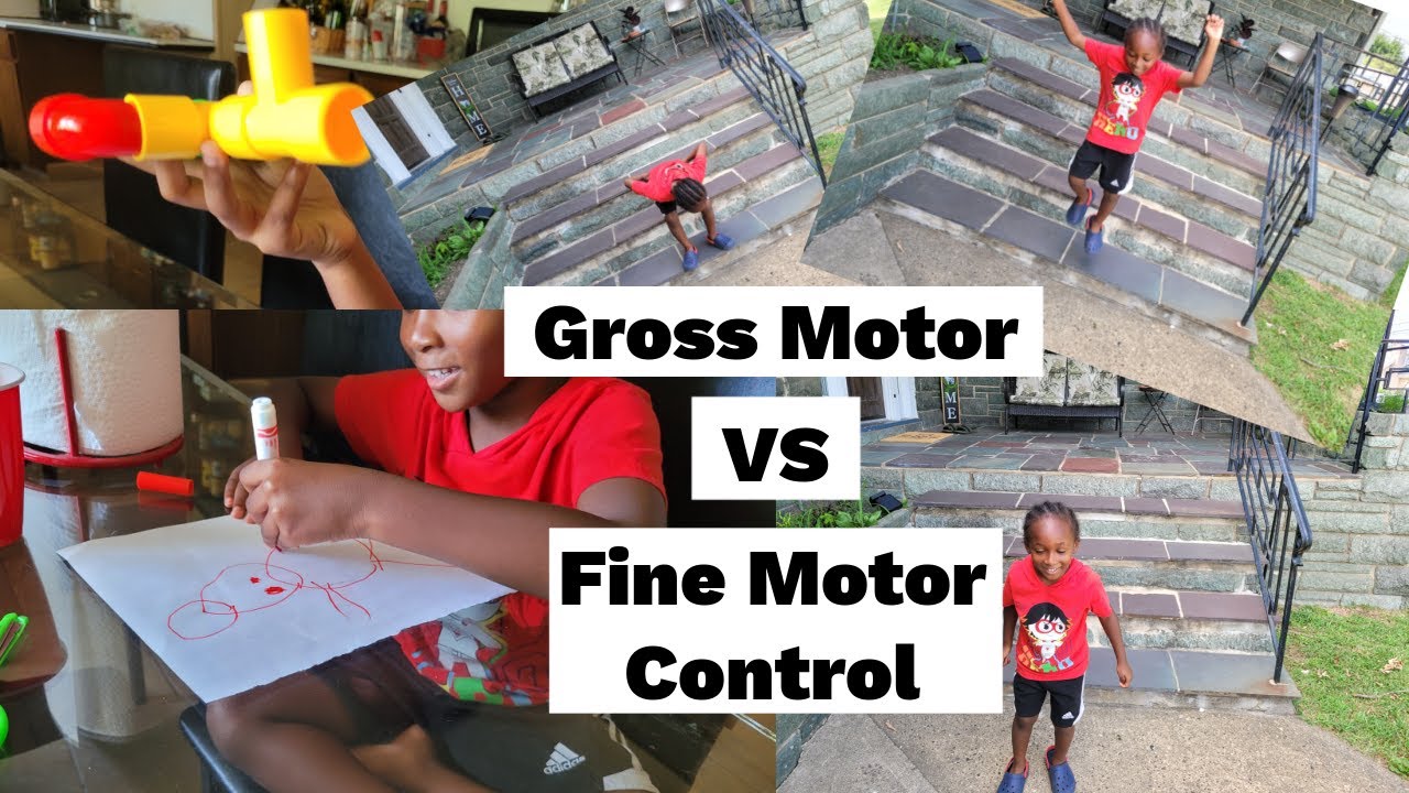 What Are Gross Motor Vs Fine Motor Skills | Interactive Examples - YouTube