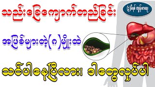 သည်းခြေကျော်ကတည်းအဓိကအဖြစ်များတဲ့သူများ၊ Symptoms of gallstones