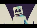 Marshmello face reveal....