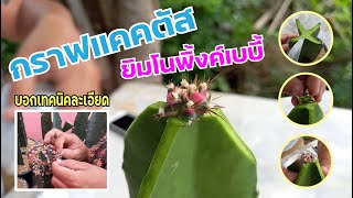 วิธีกราฟแคคตัส แบบละเอียด | แคคตัสหัวหิน 38 | Ep.4