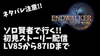 【ネタバレ注意!!】ソロで行く!! 暁月のフィナーレストーリー攻略生放送!! LV85から【FF14】