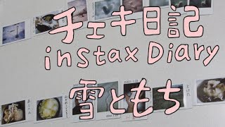 【Vlog】チェキ日記 2021年1月 「雪 と もち」 チェキが好きで、独身で、田舎暮らし、の日記【instax DIARY】チェ記