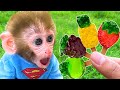 Monyet BonBon Lucu Makan Agar-Agar Buah di Taman Bersama Anak Bebek - BonBon Indonesian