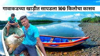 कोकणातील गावाकडच्या खाडीत सापडला 100किलोचा कासव 😍 ||  Kokan Vlog