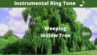 Sad Flute Ringtone|Best TikTok Ringtone 2021|Sad Background Music|Instrumental Ringtone|New Ringtone