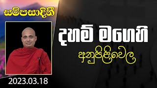 දහම් මගෙහි අනුපිළිවෙල| ​සම්පසාදනී ධර්ම දේශනා මාලාව | 2023-03-18