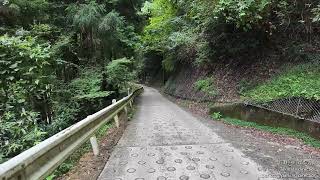 TZ1Dちょこっと登山・・巡礼道登山口から滝畑方向