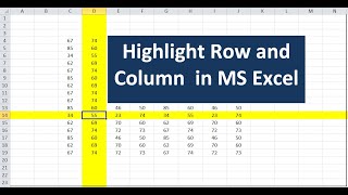 Highlight Active Row and Column in MS Excel in Hindi Urdu| VBA Code #excelvba #exceltips