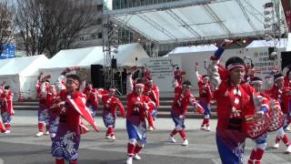 帯屋町筋　2014土佐のおきゃく　春の舞