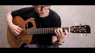 L.Luthier Le Light CR Acoustic Guitar Sound Demo