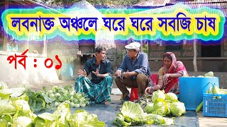 লবনাক্ত অঞ্চলে ঘরে ঘরে সবজি চাষ | উপকূলীয় কৃষকদের মুখে হাসি- পর্ব : ০১ | Dewan Siraj | Mati O Manush