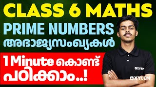Class 6 Maths | Prime Numbers/അഭാജ്യസംഖ്യകൾ 1 Minute കൊണ്ട് പഠിക്കാം...!! | Xylem Class 6