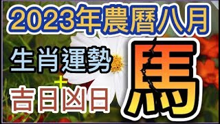 【古柏論命每月運勢 + 吉日凶日】2023年農曆八月(陽曆9/15 ~ 10/14)生肖運勢分享 -  馬