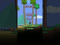 random terraria facts for your enjoyment