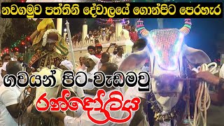 නවගමුව පත්තිනි දේවාලයේ ගොන්පිට පෙරහැර | Nawagamuwa perahera | Pooja TV  පූජා ටීවි | paththini maniyo