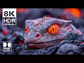 The Best Dolby Vision HDR 8K Video ULTRA HD 240 fps (8K HDR)