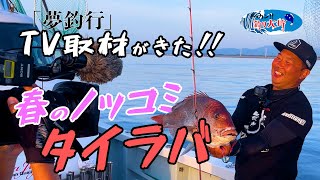 【祝・TV出演】夢釣行に出てみた【タイラバ】