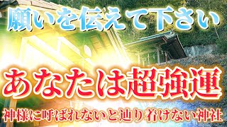 あなたは神様に呼ばれました！！　願いを伝えて下さい。※遠隔参拝【山王神社 】　　　You were called by god【Sanno Shrine】