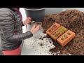 hardy s gardening advice planting a winter interest