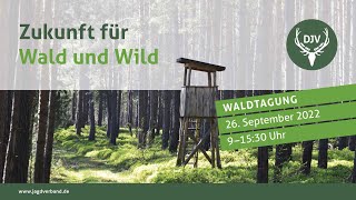 DJV-Fachtagung: Zukunft für Wald und Wild