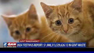 2024  Festivus  Report  $1,008,313,329,626 12 In Govt Waste