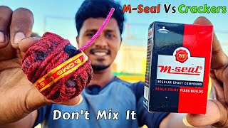 என்னடா! இது இப்படி வெடிக்குது! 🤯| M-Seal Vs Crackers🧨 | Vijay Ideas