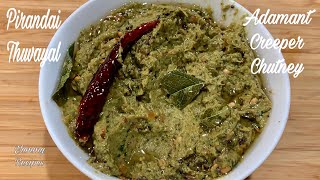 Pirandai Thuvayal Recipe | Adamant Creepers Chutney | How to make pirandai chutney | Yummy Recipes