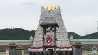 #srivariseva #srivari Pushpa Pallaki with #aurabalancing #tirumala chronicles