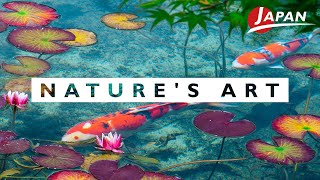 Where Nature and Art Unite: Monet's Pond | Gifu, Japan Travel Guide